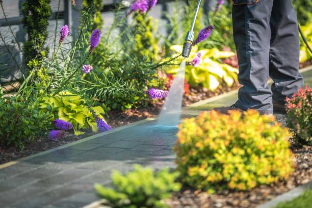 Best Gutter Cleaning  in Crystal Springs, MS
